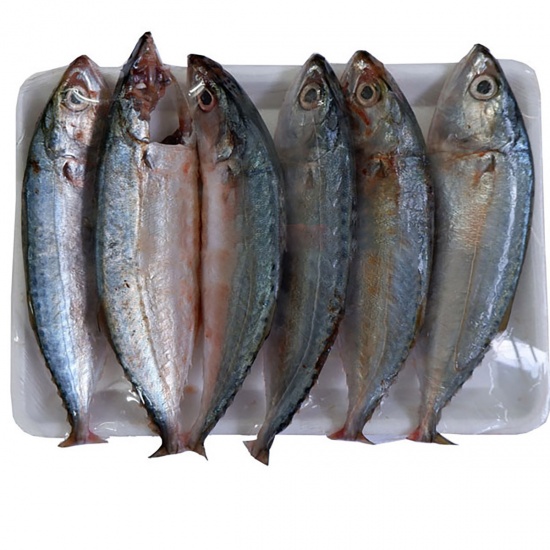 Cá Bạc Má Tươi Ngon – Giàu Omega-3, Giá Tốt Mỗi Ngày