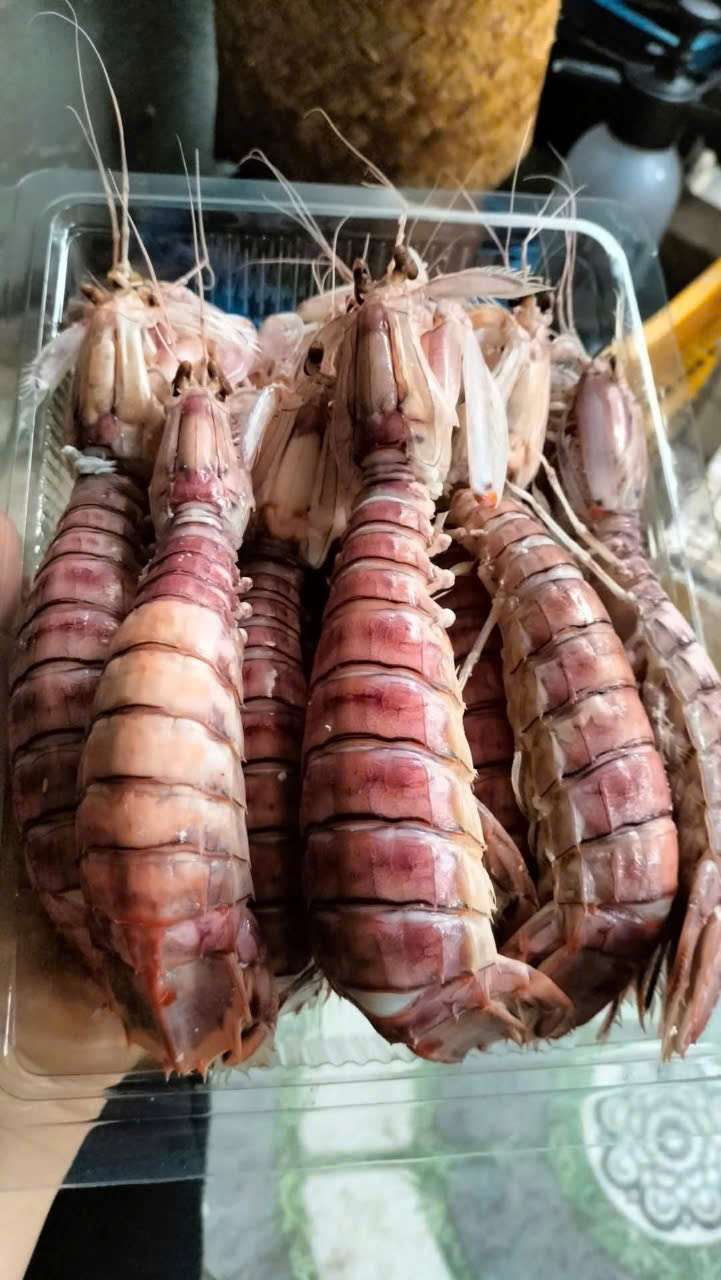 Bề Bề Trắng Tươi Ngon – Giao Nhanh Tận Nhà