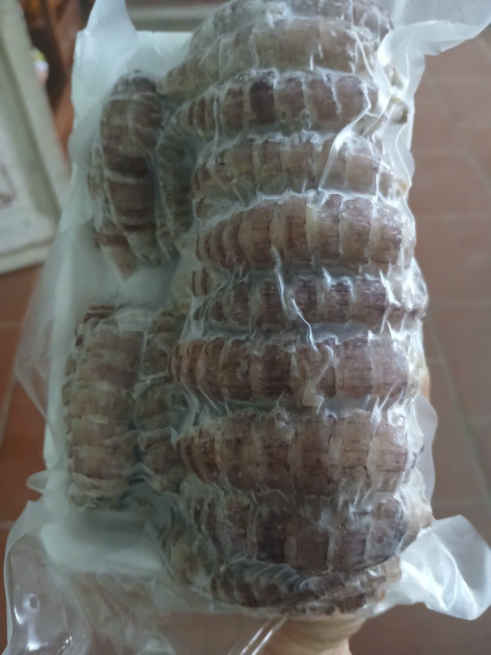 Bề Bề Nõn Tươi Ngon, Thịt Chắc – Giao Nhanh Tận Nhà