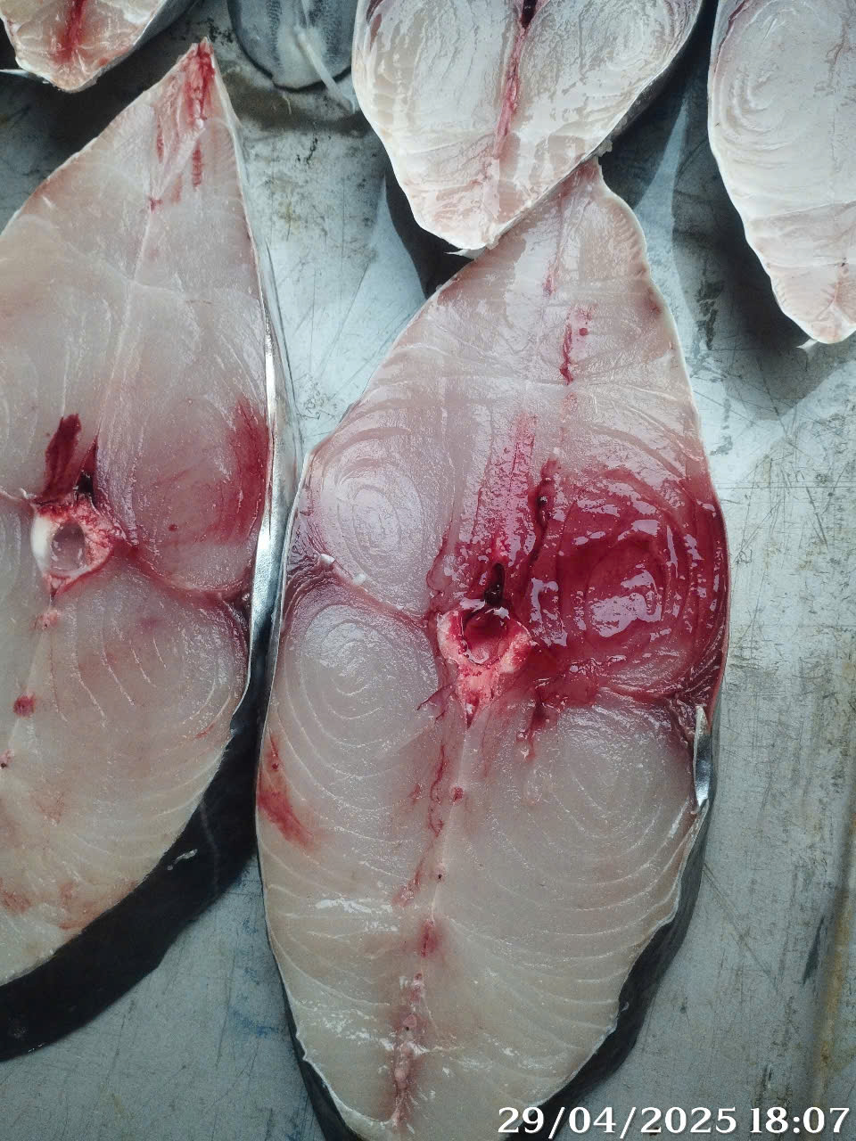 Cá Thu Cắt Lát Tươi Ngon – Sẵn Chế Biến, Giao Hàng Tận Nơi