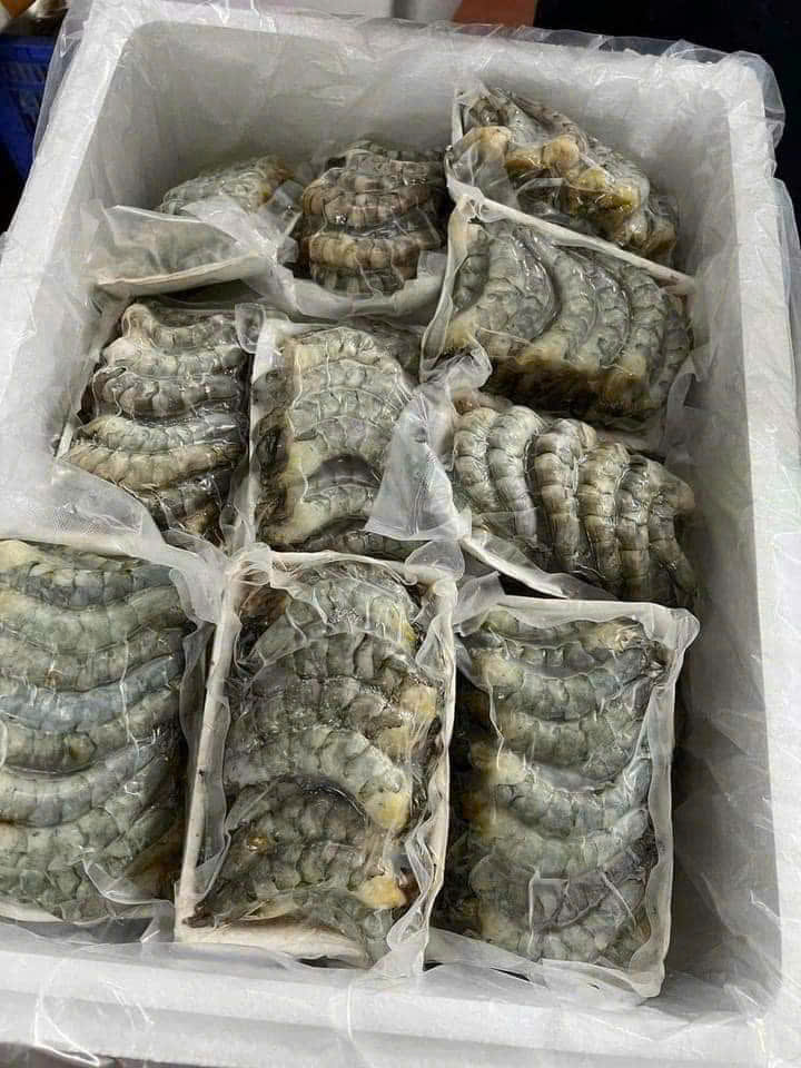 Nõn Tôm Thẻ Tươi Ngon – Thịt Săn, Ngọt Tự Nhiên – Tiện Lợi Chế Biến Mọi Món Ngon